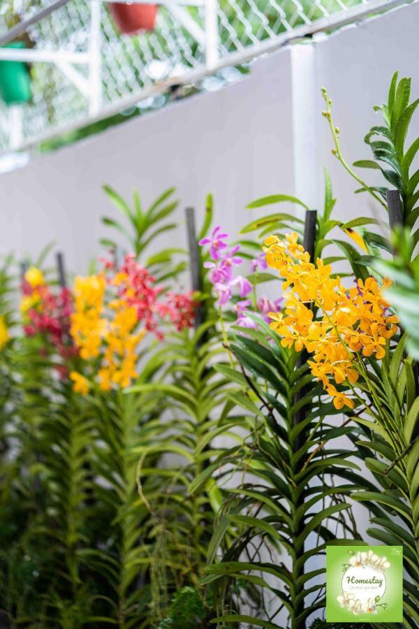 Can Tho Orchid Garden Homestay Экстерьер фото